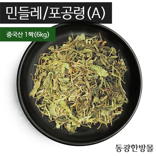민들레/포공령(A)/중국산 짝(6kg)